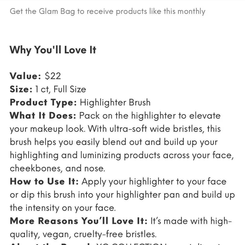 NIB Y02 Glow Brush, highlighter brush